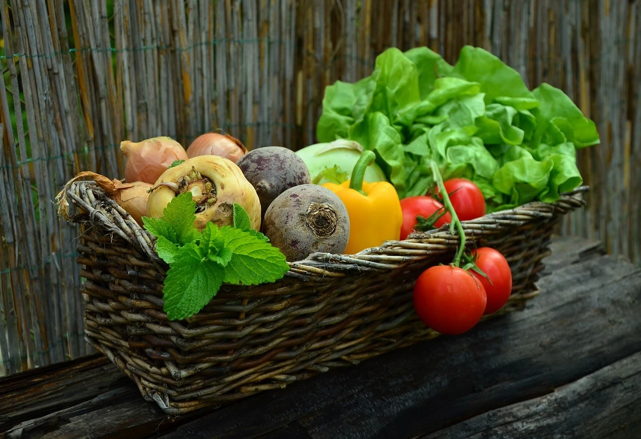 症状に合わせた個別の治療法